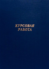 Папка д/курсовых работ без блока синяя 10КР01_02