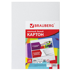 Картон белый А4 25л мелованный 235г/м2 BRAUBERG